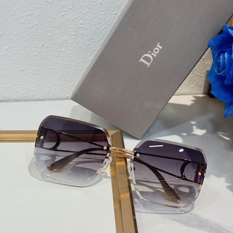 Dior Glasses smr (106)