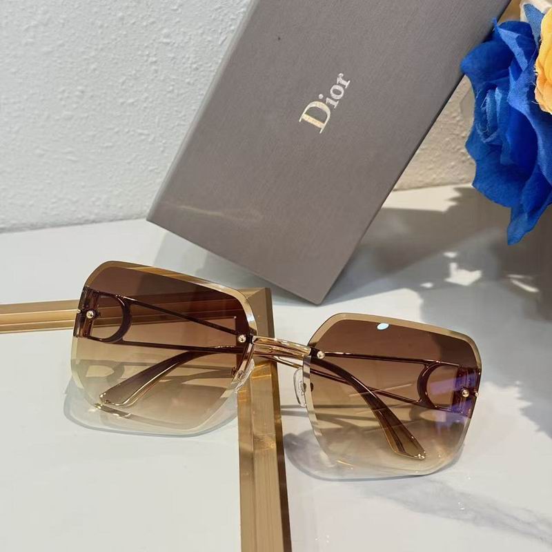 Dior Glasses smr (107)