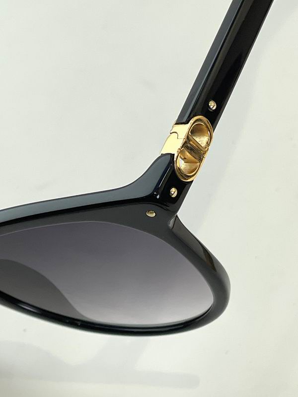 Dior Glasses smr (1078)