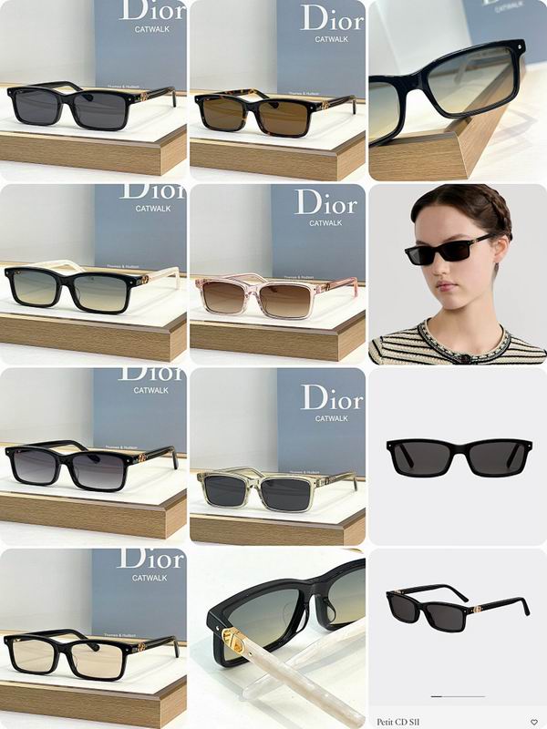 Dior Glasses smr (1109)