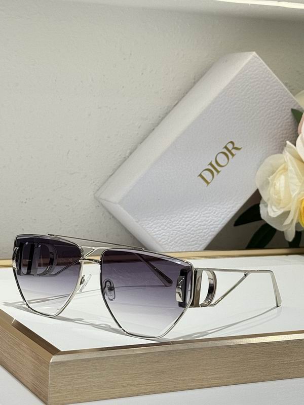 Dior Glasses smr (14)