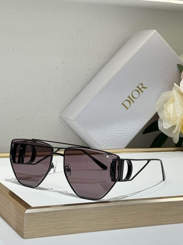 Dior Glasses smr (15)