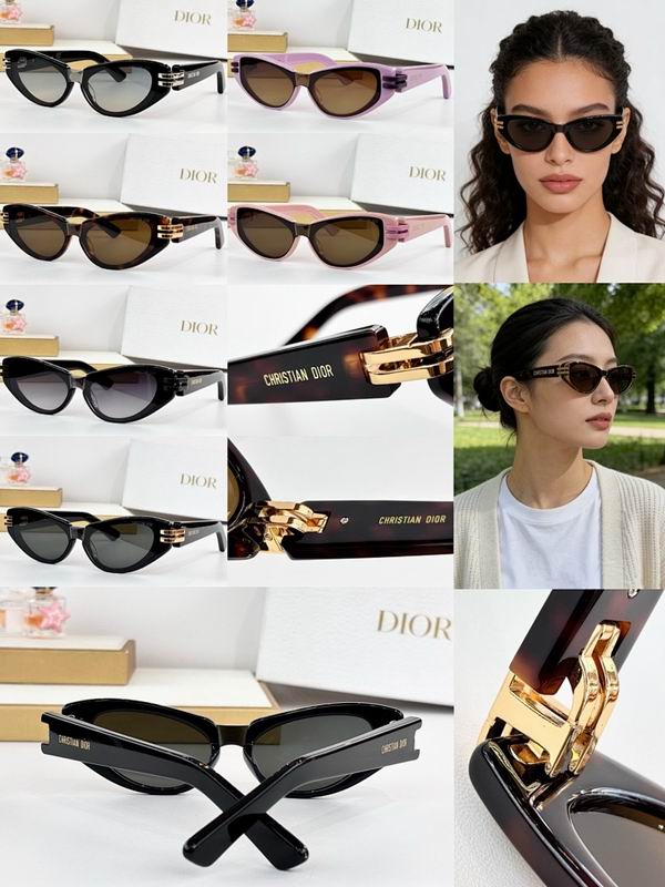Dior Glasses smr (169)