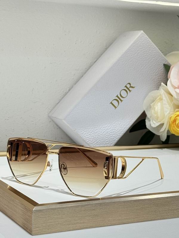 Dior Glasses smr (17)