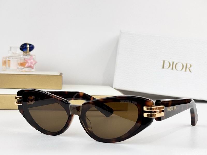 Dior Glasses smr (173)
