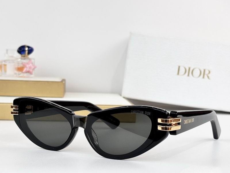 Dior Glasses smr (175)