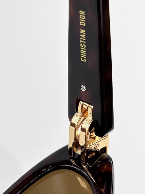 Dior Glasses smr (176)