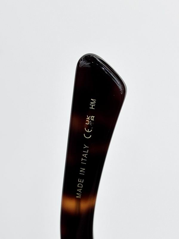 Dior Glasses smr (178)