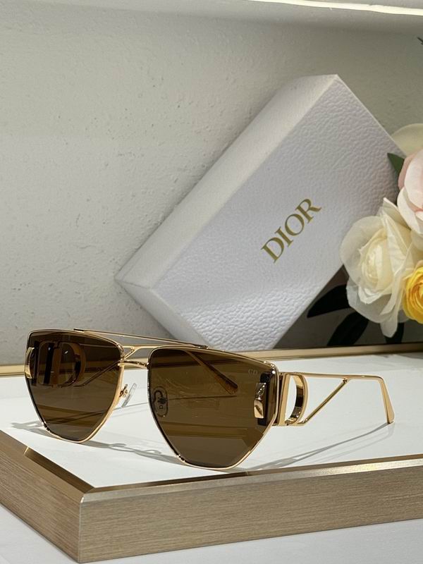 Dior Glasses smr (19)