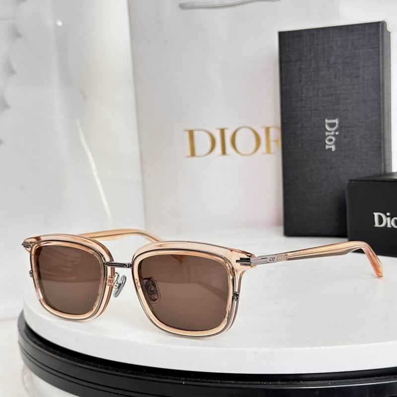 Dior Glasses smr (193)