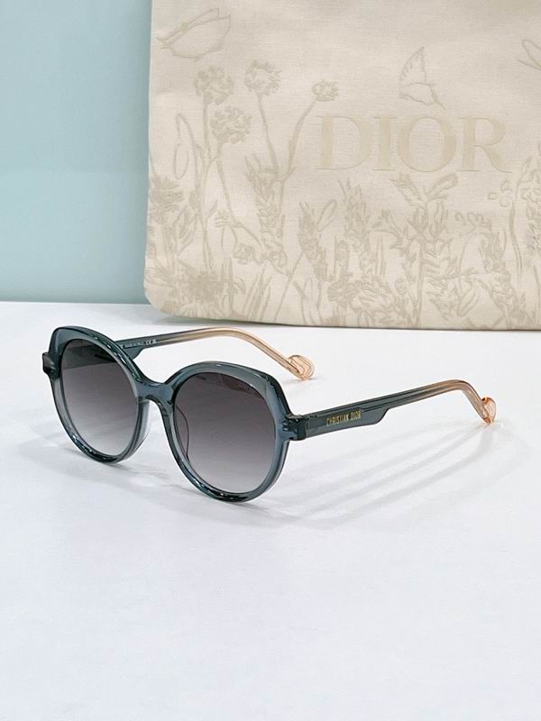 Dior Glasses smr (23)
