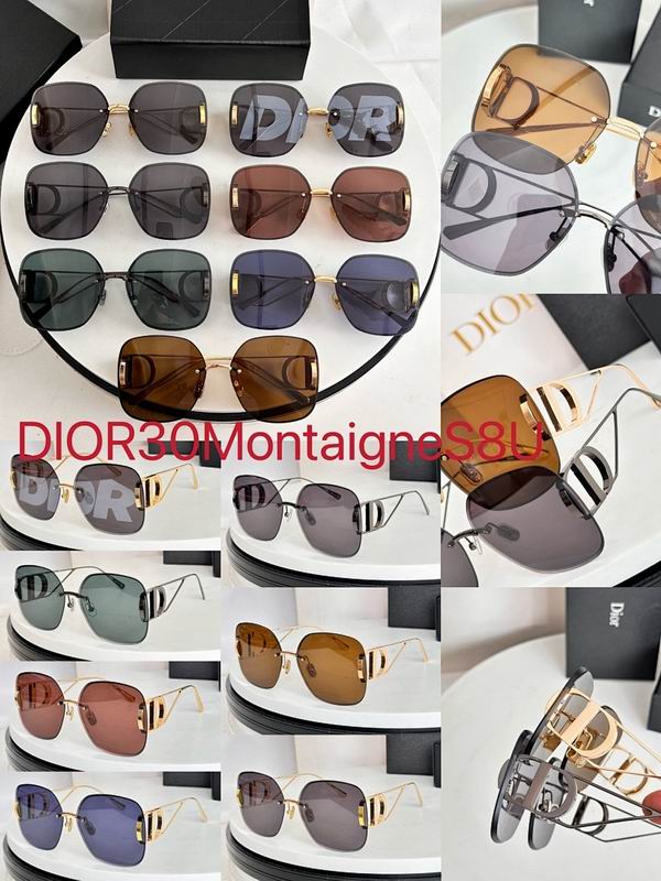 Dior Glasses smr (238)