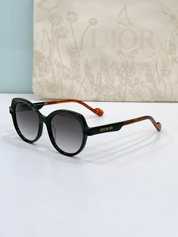 Dior Glasses smr (24)