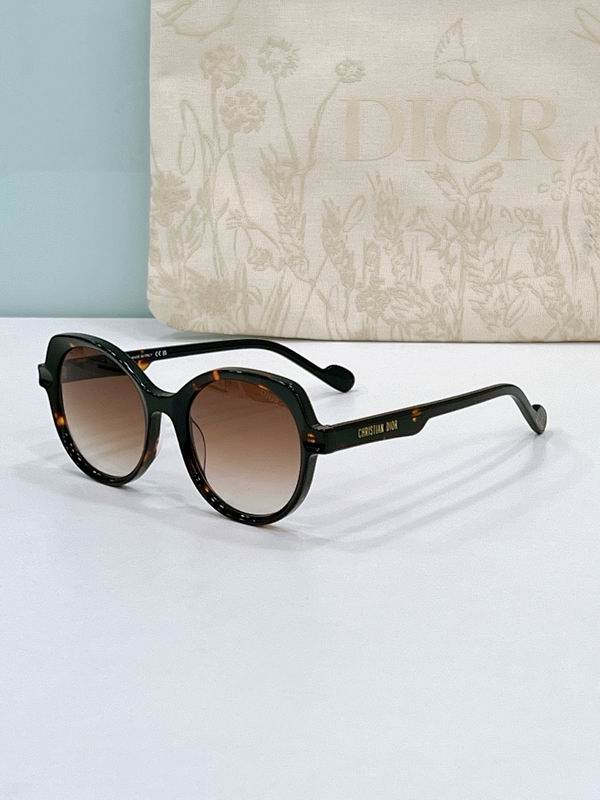 Dior Glasses smr (25)