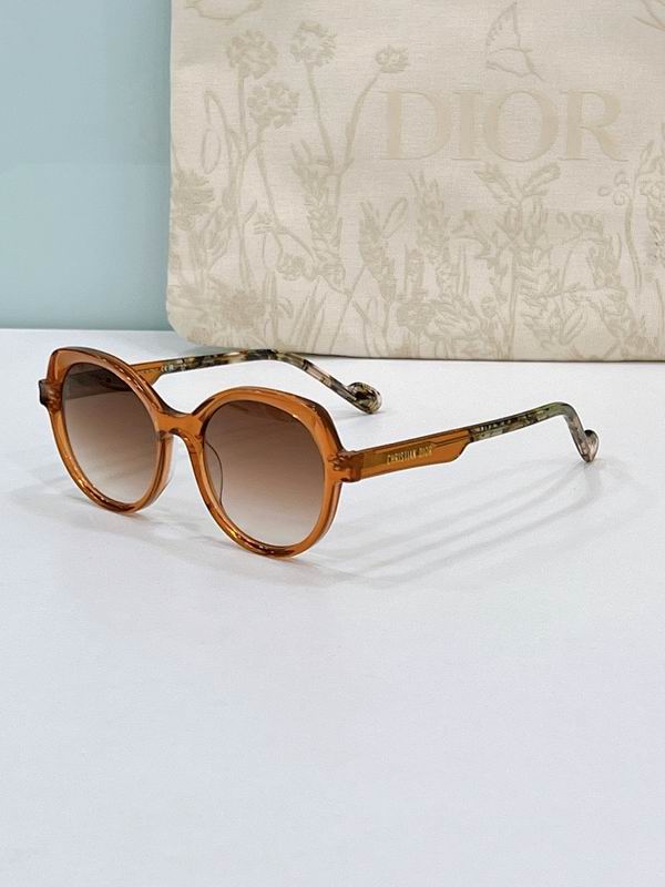 Dior Glasses smr (28)