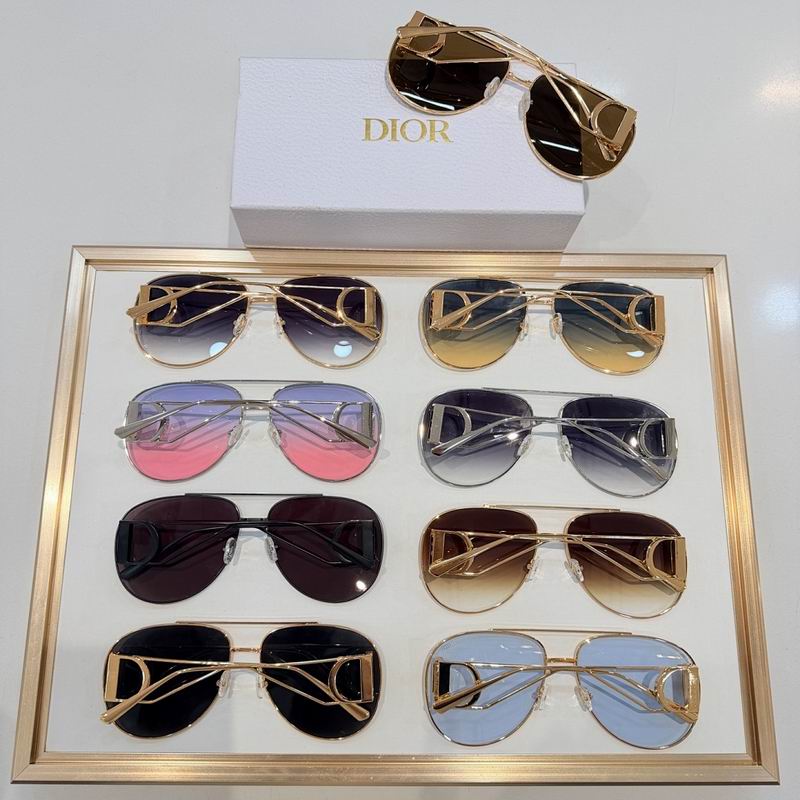 Dior Glasses smr (307)
