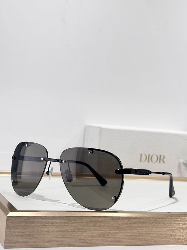 Dior Glasses smr (309)