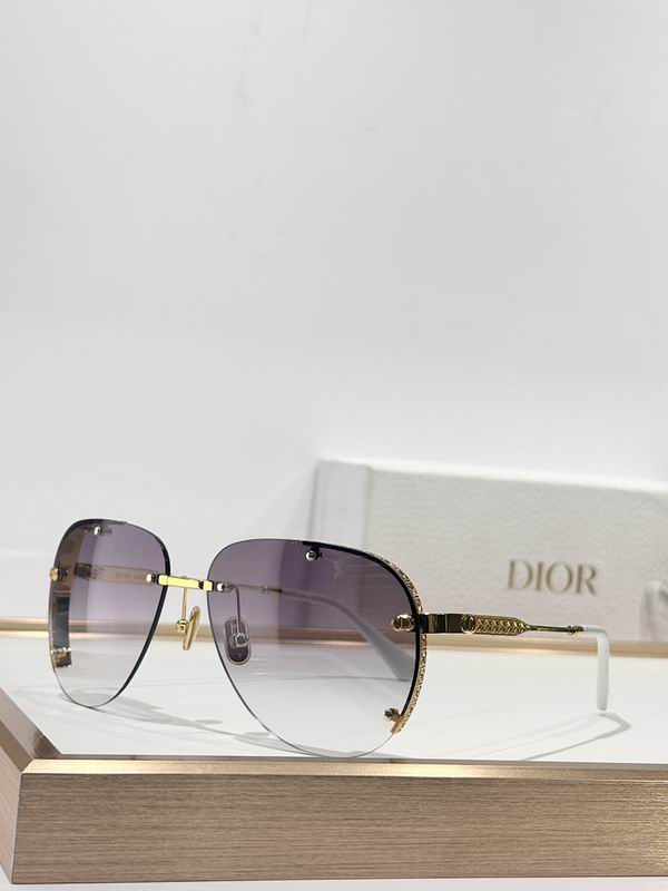 Dior Glasses smr (311)