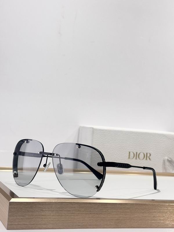 Dior Glasses smr (313)
