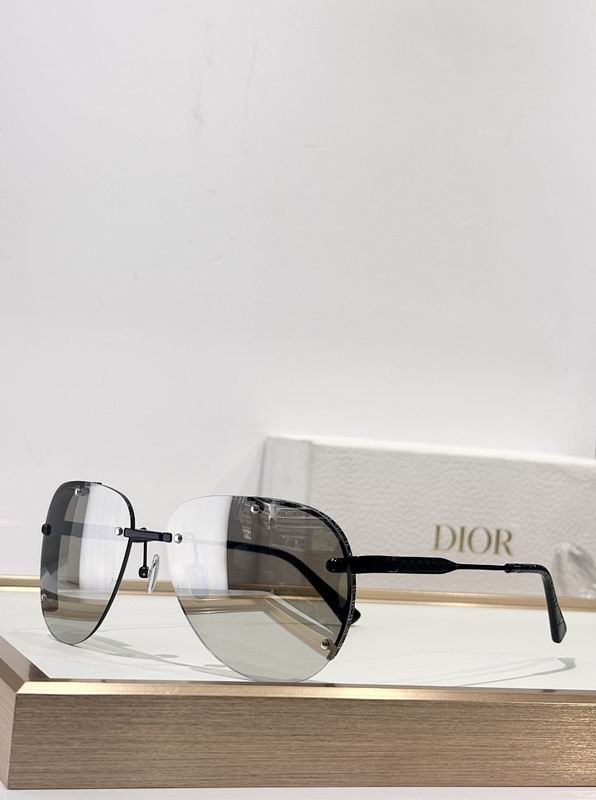 Dior Glasses smr (315)