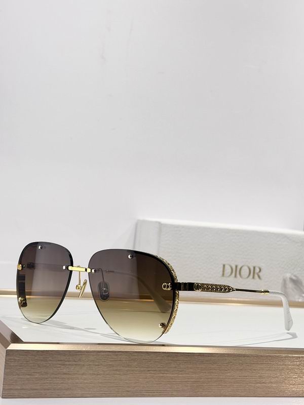 Dior Glasses smr (316)