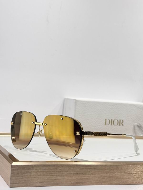 Dior Glasses smr (317)