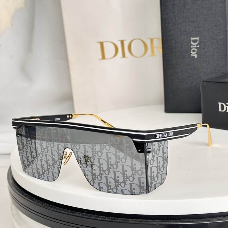 Dior Glasses smr (33)