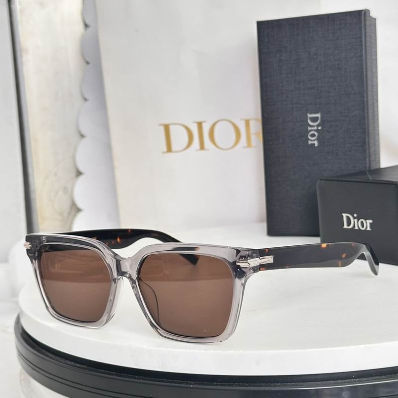 Dior Glasses smr (371)