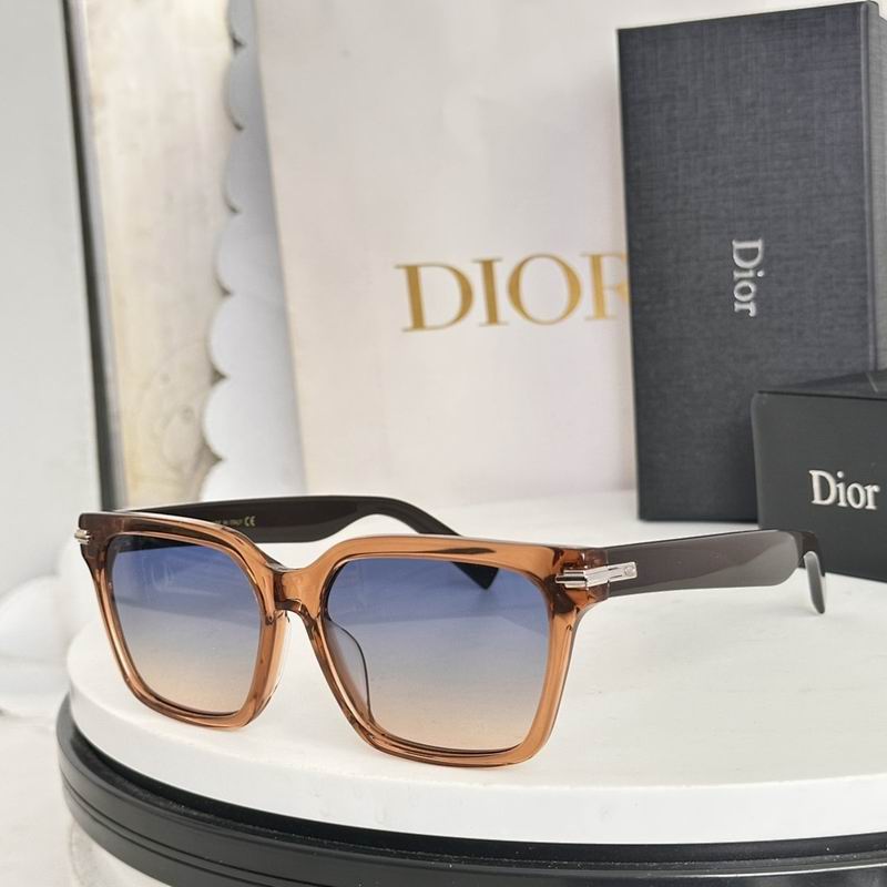 Dior Glasses smr (372)