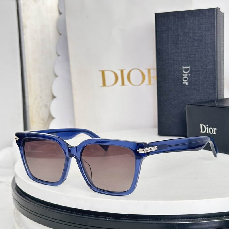 Dior Glasses smr (373)