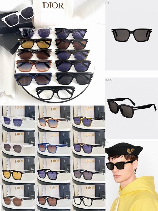 Dior Glasses smr (376)