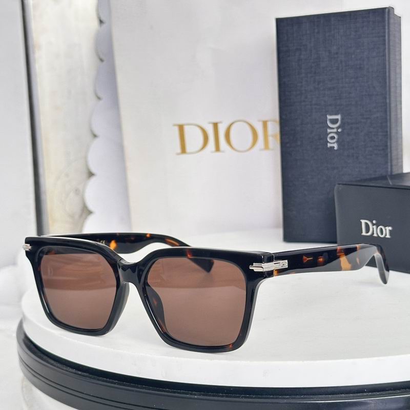 Dior Glasses smr (379)