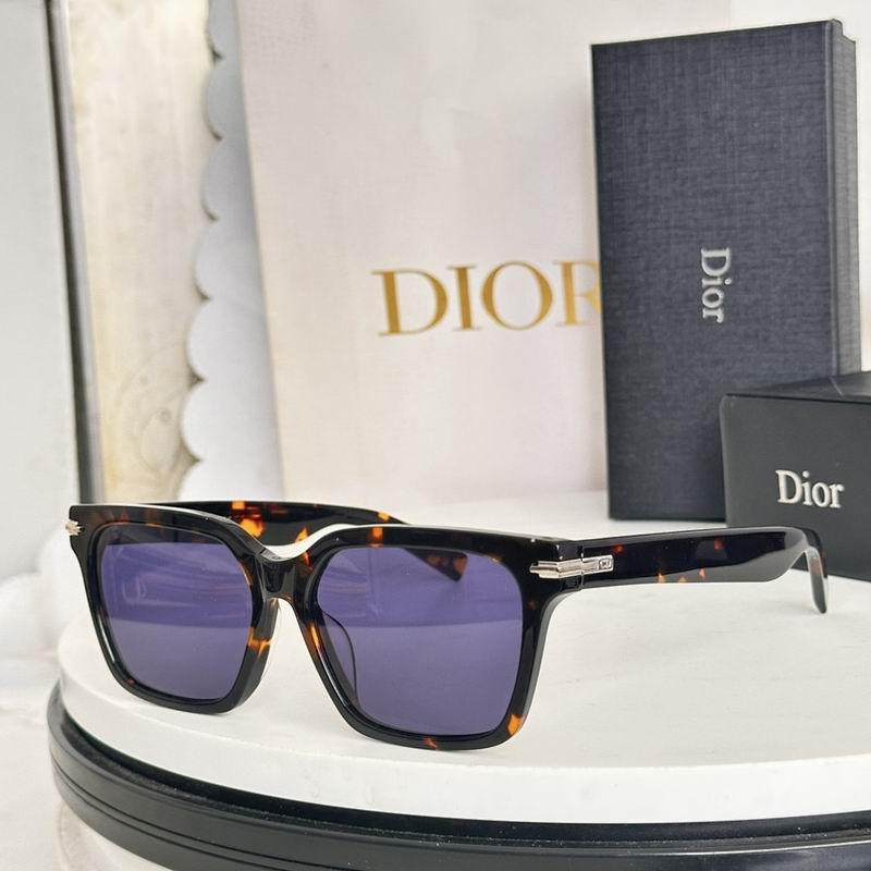 Dior Glasses smr (381)