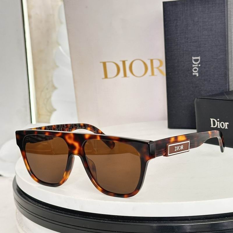 Dior Glasses smr (391)