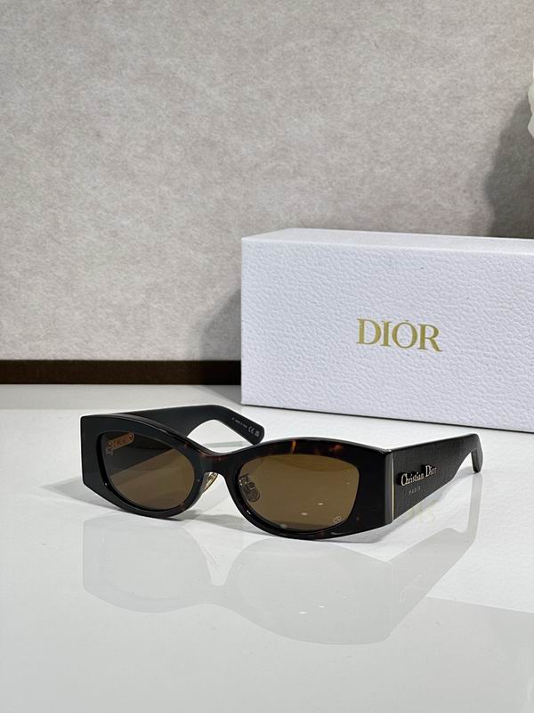 Dior Glasses smr (439)