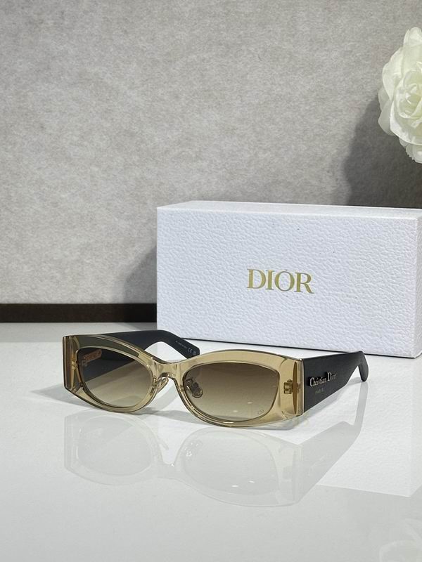 Dior Glasses smr (441)