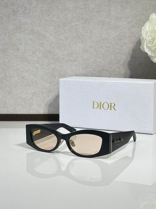 Dior Glasses smr (442)