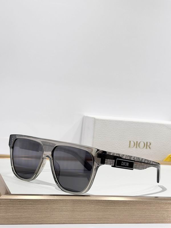 Dior Glasses smr (457)