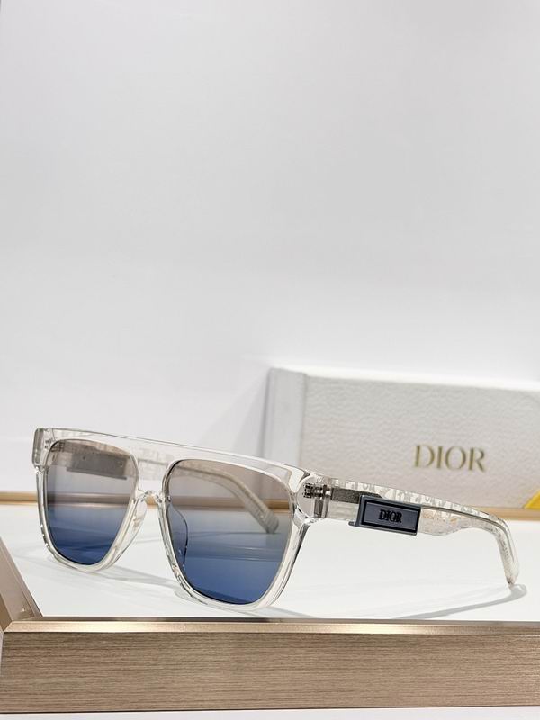 Dior Glasses smr (460)