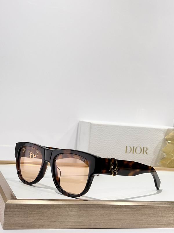 Dior Glasses smr (469)