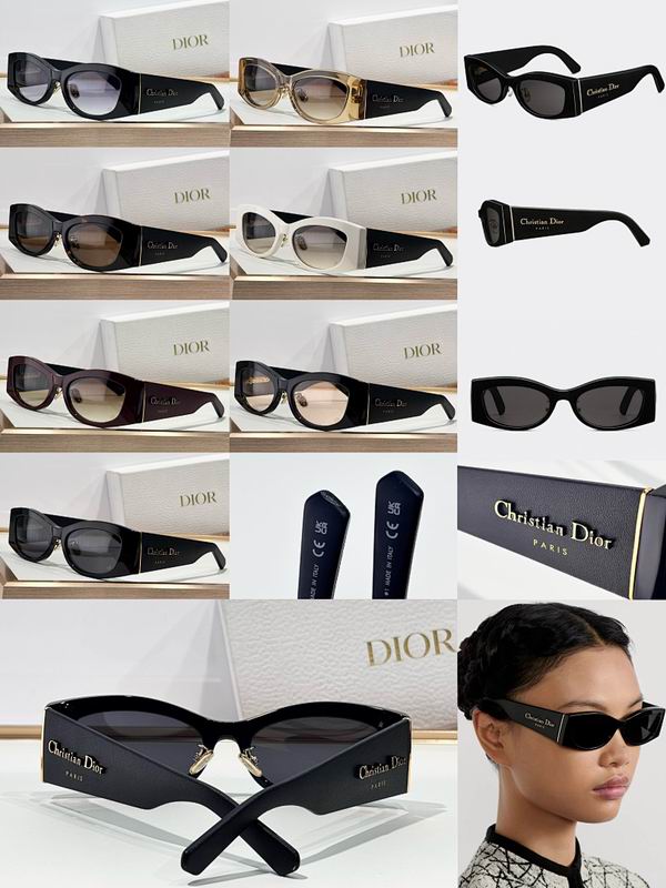 Dior Glasses smr (476)