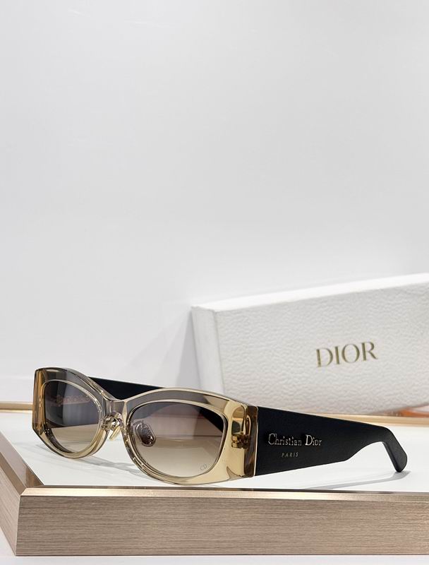 Dior Glasses smr (481)