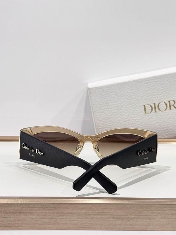 Dior Glasses smr (485)