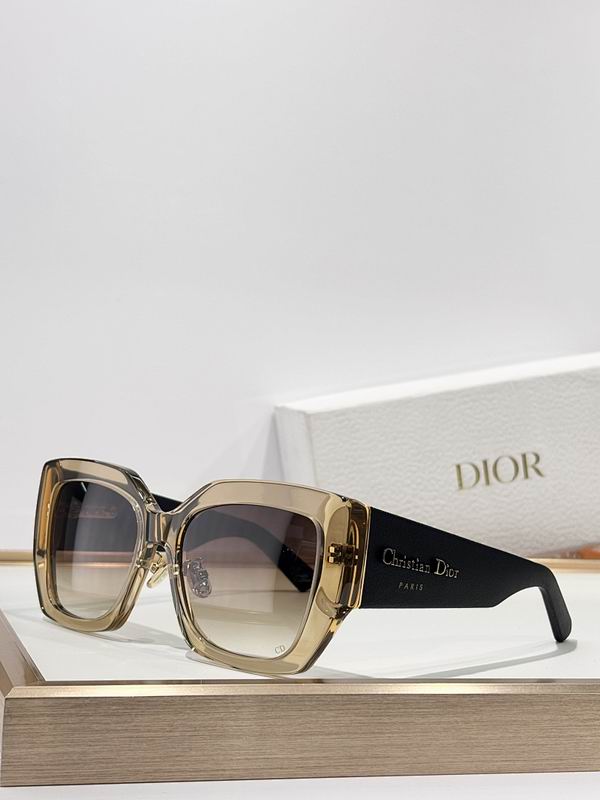 Dior Glasses smr (487)
