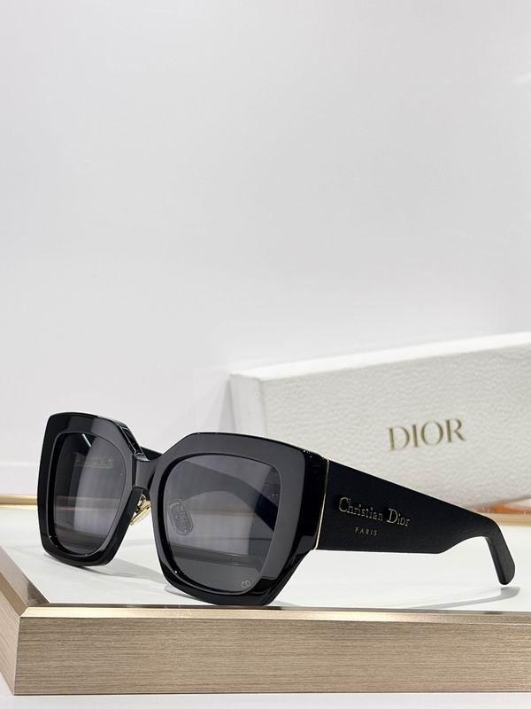 Dior Glasses smr (493)
