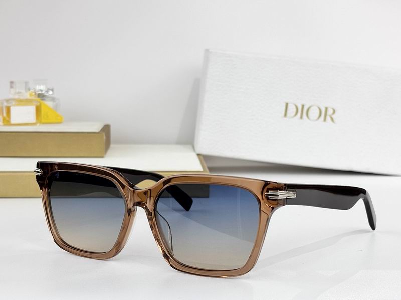 Dior Glasses smr (517)