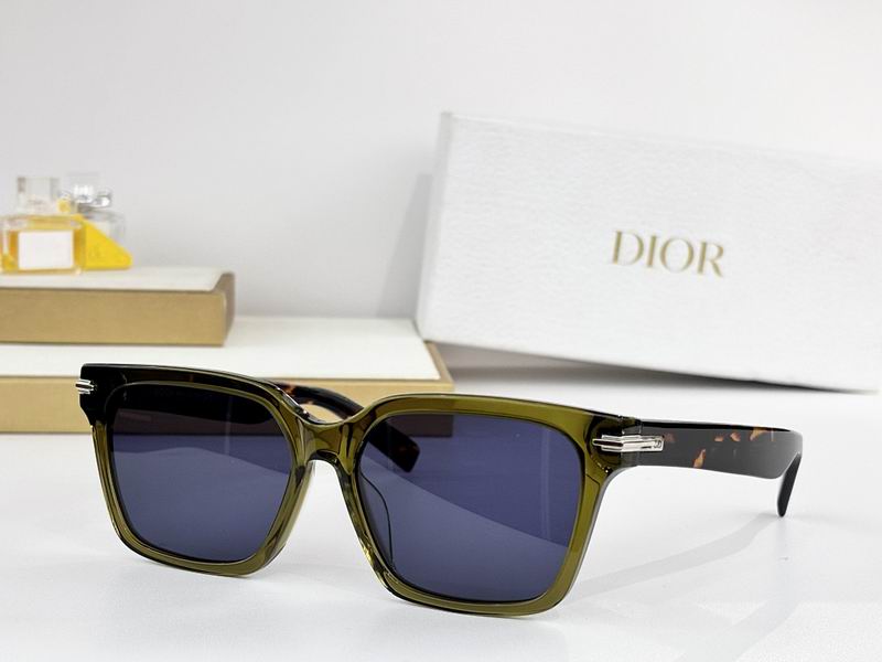 Dior Glasses smr (518)
