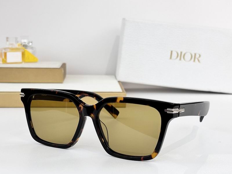 Dior Glasses smr (527)