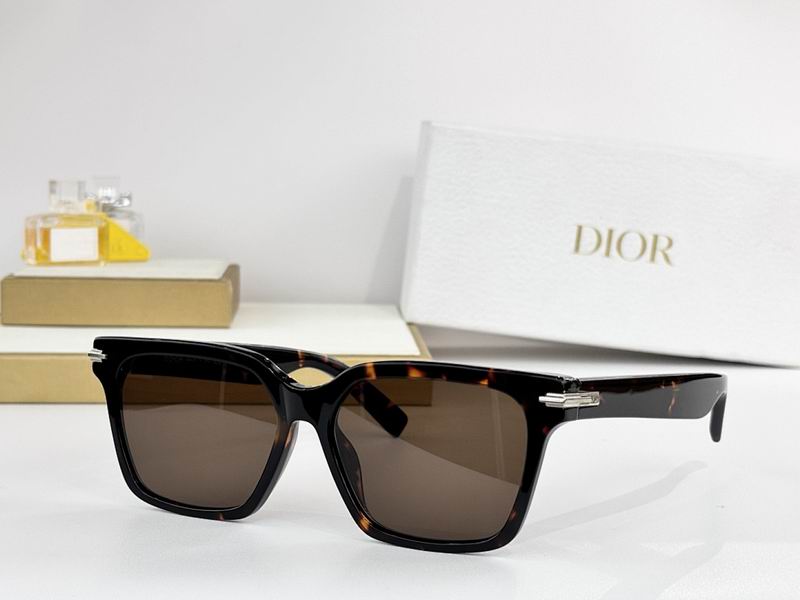 Dior Glasses smr (529)
