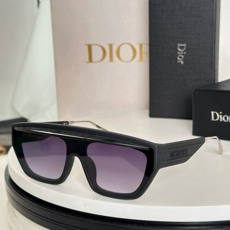 Dior Glasses smr (55)